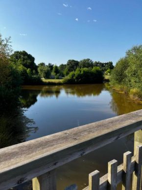 Le Nid du Teich